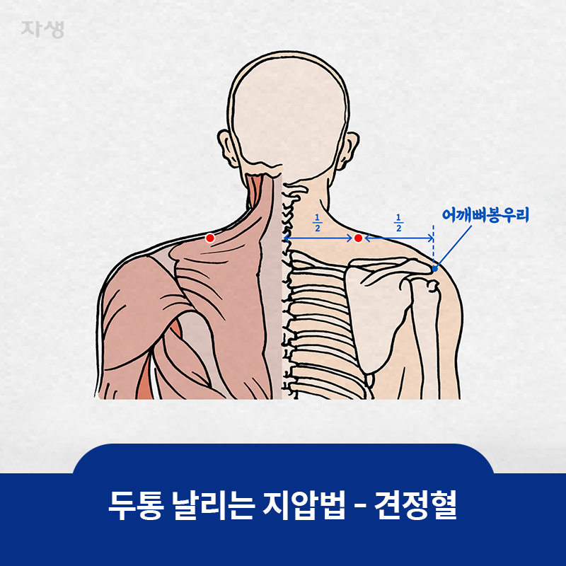 참고 이미지: 두통 날리는 지압법 - 견정혈 | 자생한방병원·자생의료재단