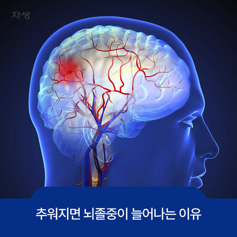 뇌혈관질환 발생률이 높아지는 추운 날씨에 뇌혈관이 좁아진 뇌 이미지