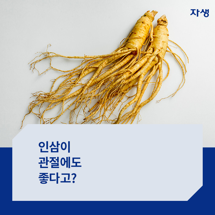 알기쉬운연구이야기 | 자생한방병원 자생의료재단