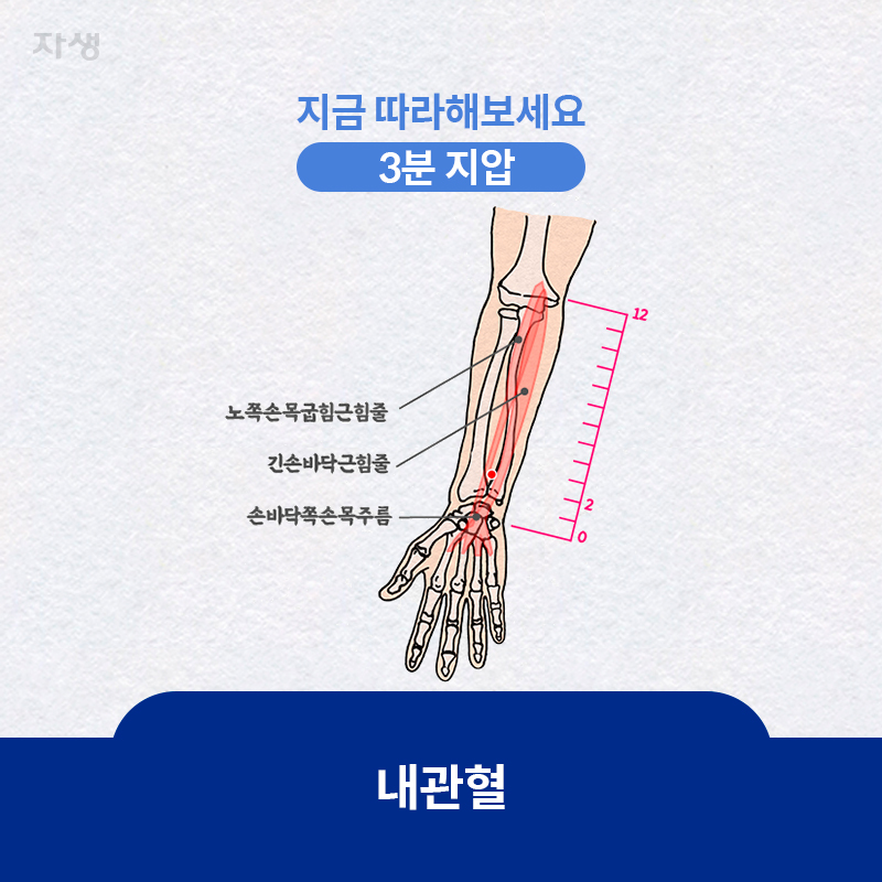 참고 이미지 : 내관혈 | 자생한방병원·자생의료재단