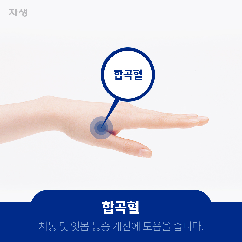 합곡혈 치통 및 잇몸 통증 개선에 도움을 줍니다. | 자생한방병원ㆍ자생의료재단