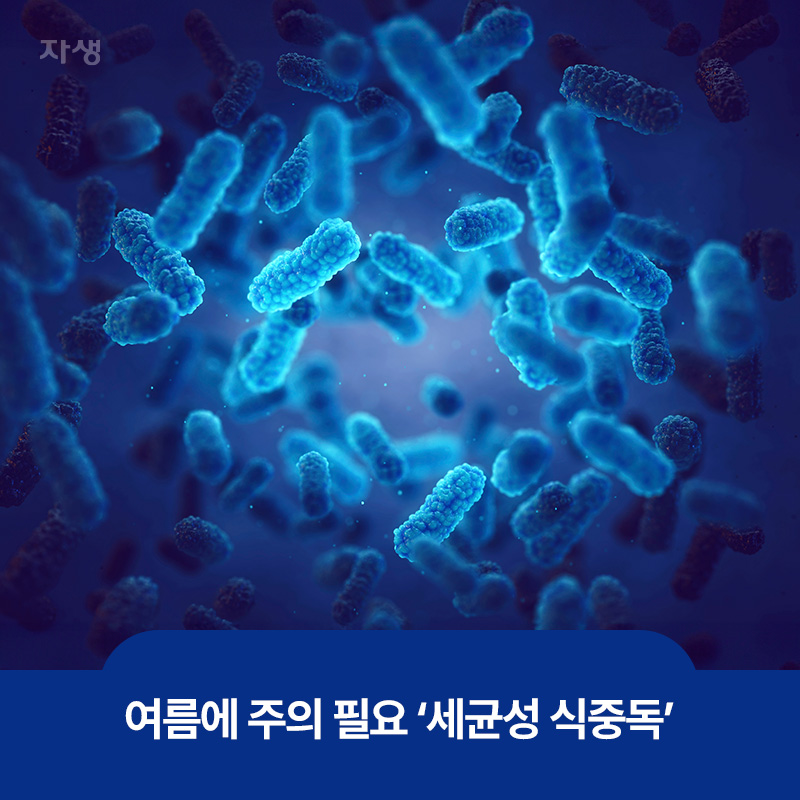 여름에 특히 주의가 필요한 세균성 식중독의 세포 이미지
