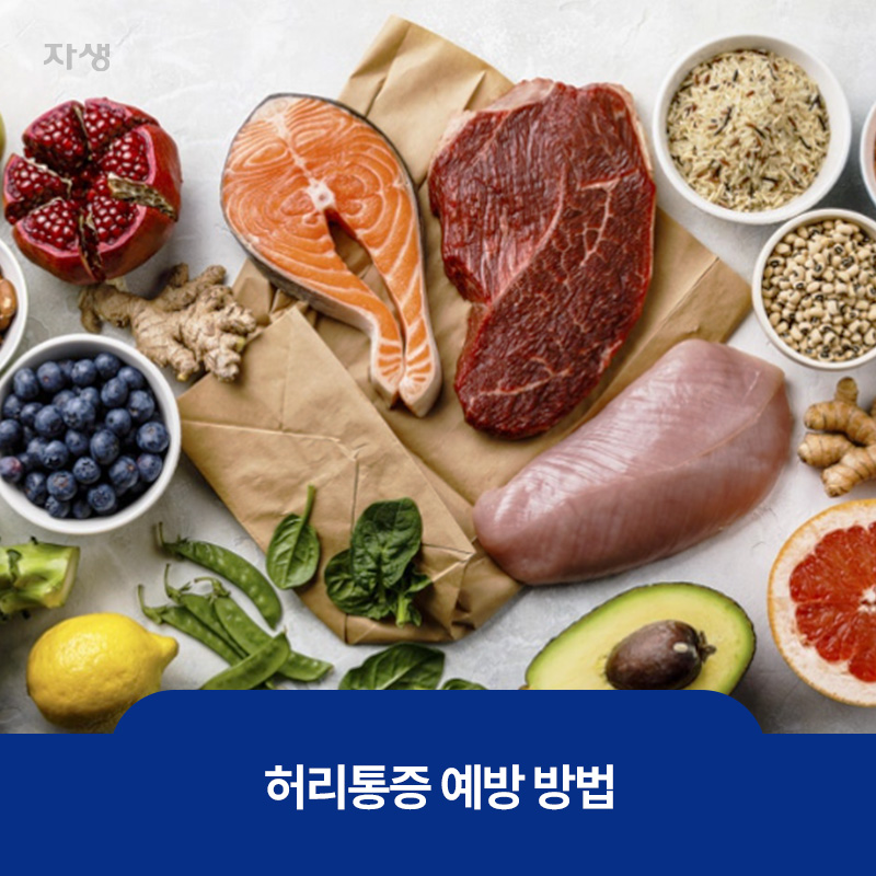 허리통증 예방 및 근육량 증가에 도움이 되는 단백질 위주의 음식 이미지
