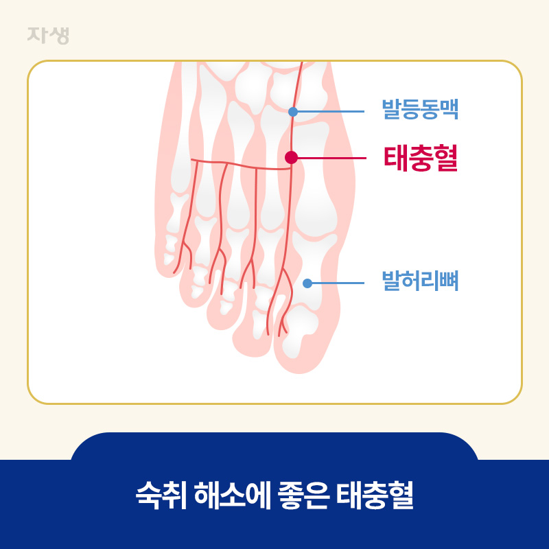 숙취 해소에 좋은 태충혈의 위치를 표시한 이미지