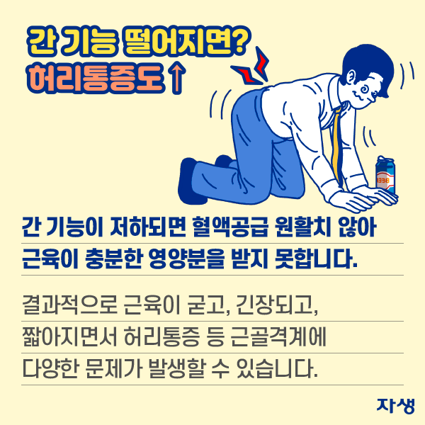 간 기능 떨어지면? 허리통증도 ↑, 간 기능이 저하되면 혈액공급이 원활치 않아 근육이 충분한 영양분을 받지 못합니다. 결과적으로 근육이 굳고, 긴장되고, 짧아지면서 허리통증 등 근골격계에 다양한 문제가 발생할 수 있습니다. | 자생한방병원·자생의료재단