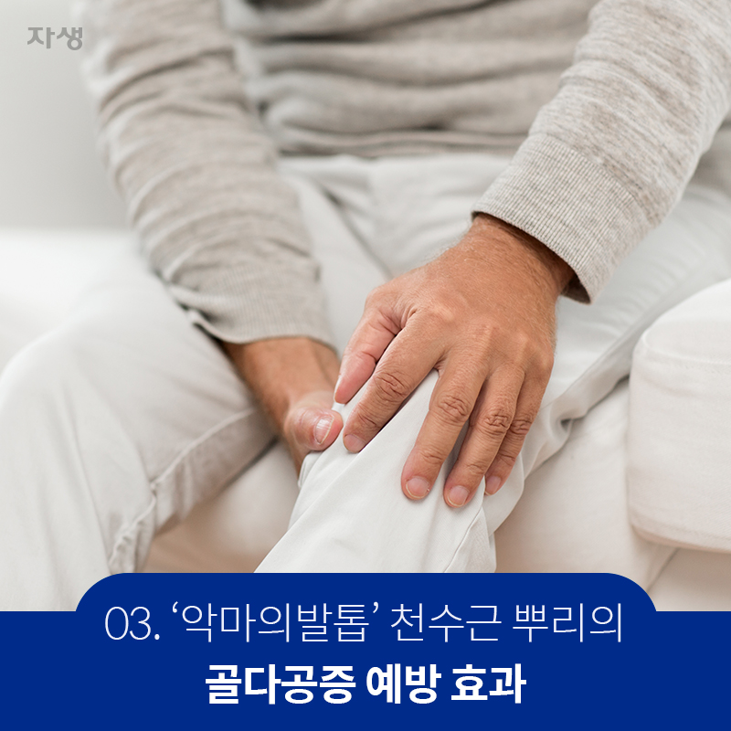 천수근 뿌리의 골다공증 예방 효과 | 자생한방병원·자생의료재단