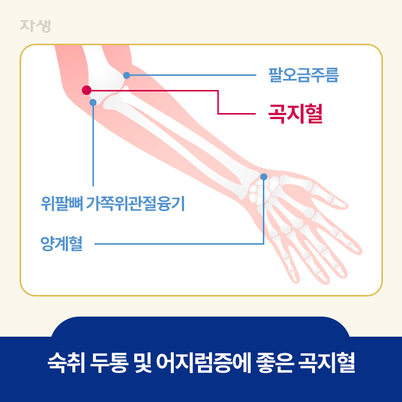 숙취 두통 및 어지럼증에 좋은 곡지혈의 위치를 표시한 이미지