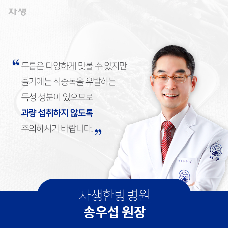 두릅은 다양하게 맛볼 수 있지만 줄기에는 식중독을 유발하는 독성 성분이 있으므로 과량 섭취하지 않도록 주의하시기 바랍니다 자생한방병원 송우섭 원장| 자생한방병원·자생의료재단