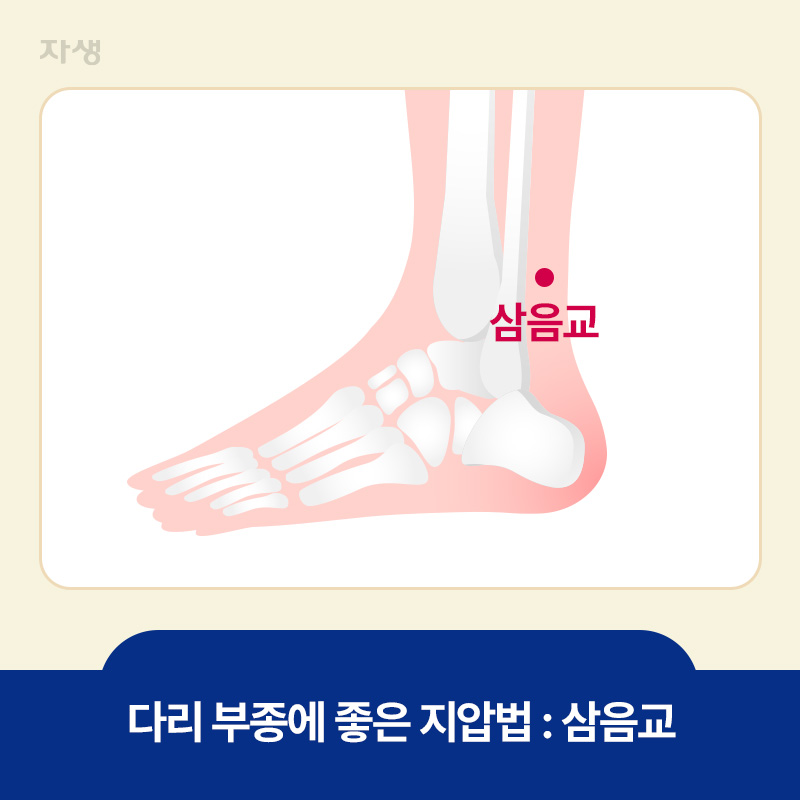 다리 부종에 좋은 지압 혈자리 삼음교 위치 표시