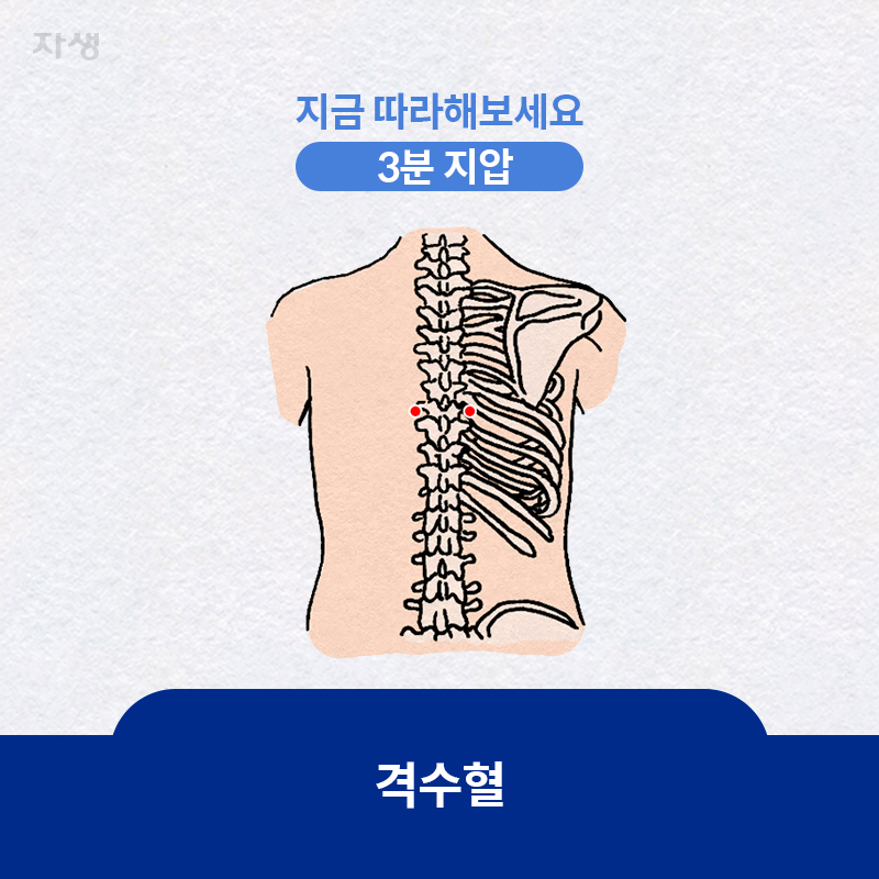 참고 이미지 :  격수혈 | 자생한방병원·자생의료재단