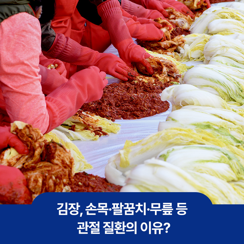 손목, 팔꿈치, 무릎 등 관절질환의 이유가 될 수 있는 배추에 양념을 버무리는 김장 이미지