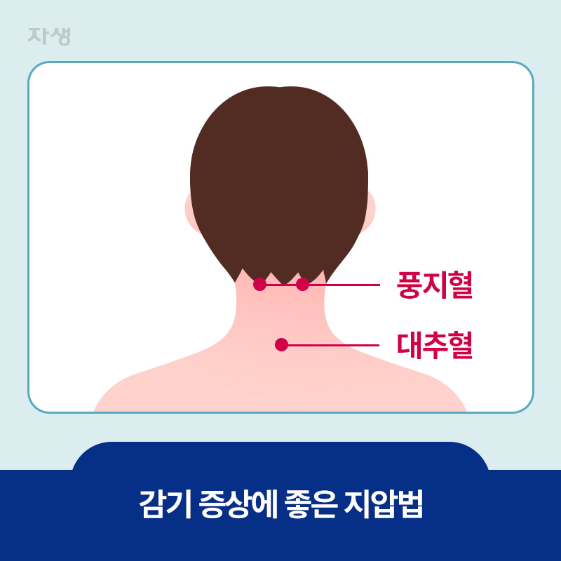 감기 증상에 좋은 혈자리인 풍지혈과 대추혈 위치 표시한 이미지