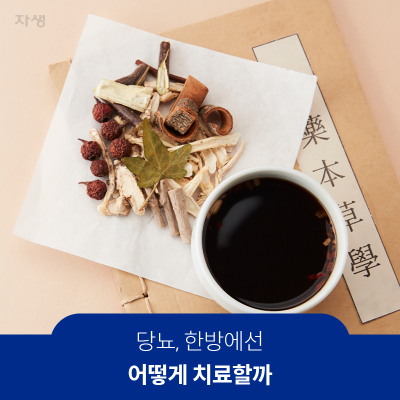 참고 이미지 : 당뇨, 한방에선 어떻게 치료할까 | 자생한방병원·자생의료재단