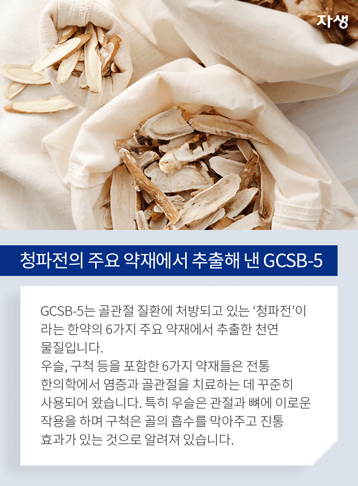 청파전의 주요 약제에서 추출해 낸 GCSB-5 - GCSB-5는 골관절 질환에 처방되고 있는 창파전이 라는 한약의 6가지 주요 약재에서 추출한 천연물질입니다. 우슬, 구척 등을 포함한 6가지 약재들은 전통 한의학에서 염증과 골관절을 치료하는 데 꾸준히 사용되어 왔습니다. 특히 우슬은 관절과 뼈에 이로운 작용을 하며 구척은 골의 흡수를 막아주고 진통 효과가 있는 것으로 알려져 있습니다.