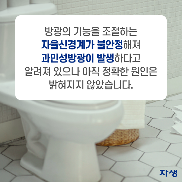 방광의 기능을 조저하는 자율신경계가 불안정해져 과민성방광이 발생하다고 알려져 있으나 아직 정확한 원인은 밝혀지지 않았습니다. | 자생한방병원·자생의료재단