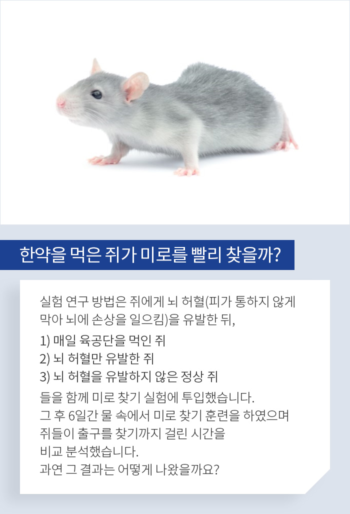 한약을 먹은 쥐가 미로를 빨리 찾을까? - 알기 쉬운 연구 이야기 | 자생의료재단
