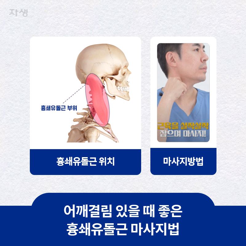 참고 이미지 : 교통사고 후유증 스트레칭 - 허리 | 자생한방병원·자생의료재단