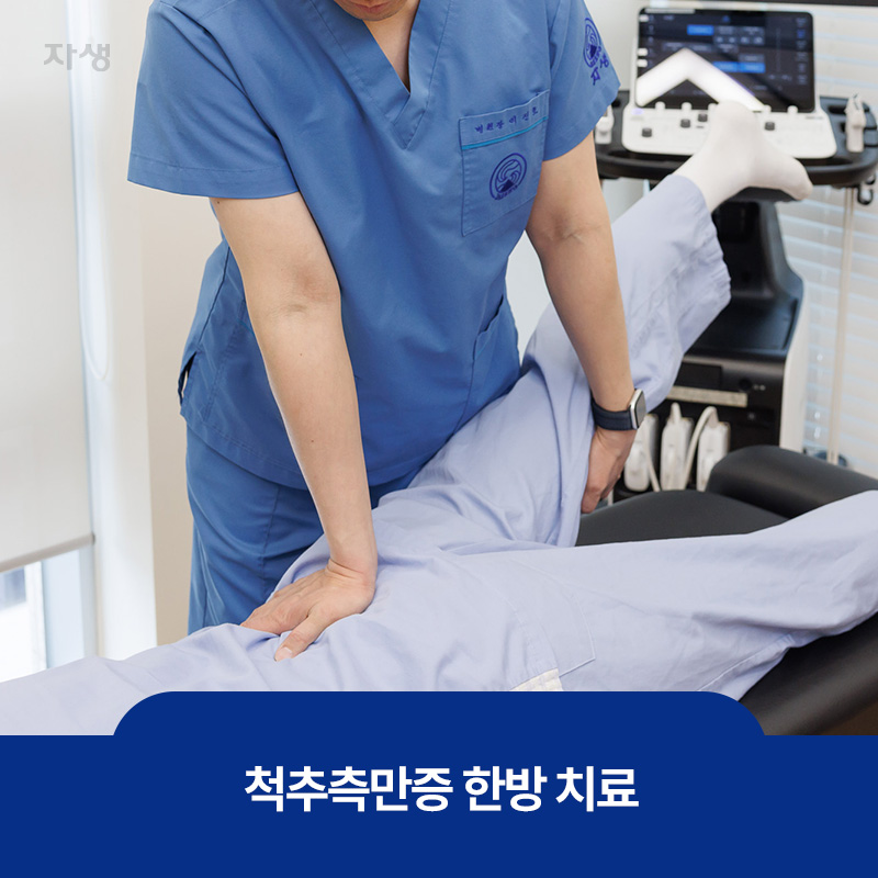 한방에서의 척추측만증 치료방법인 추나요법을 시행하는 이미지