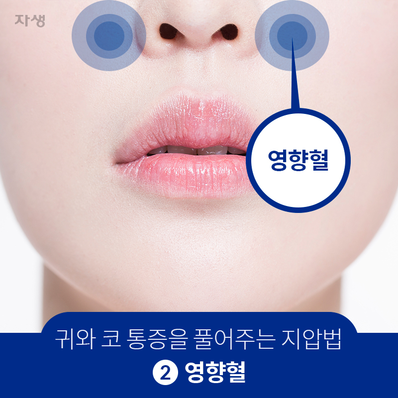 영향혈 | 자생한방병원·자생의료재단