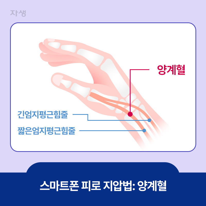 스마트폰 피로 지압법, 양계혈
