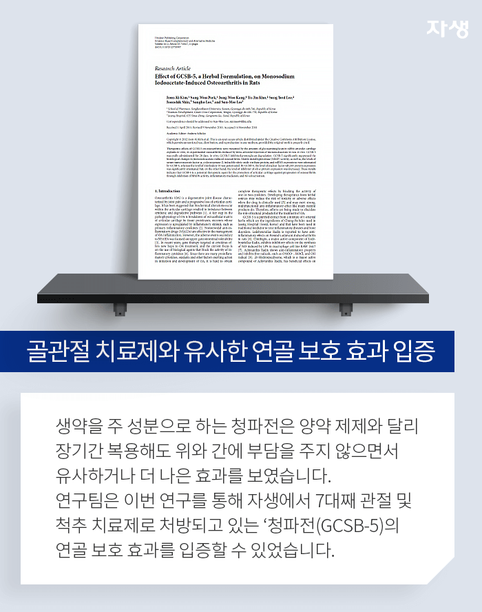 골관절 치료제와 유사한 연골 보호 효과 입증 - 생약을 주 성분으로 하는 청파전은 양약 제제와 달리 장기간 복용해도 위와 간에 부담을 주지 않으면서 유사하거나 더 나은 효과를 보였습니다. 연구팀은 이번 연구를 통해 자생에서 7대째 관절 및 척추 치료제로 처방되고 있는 '청파전(GCSB-5)의 연골 보호 효과를 입증할 수 있었습니다.