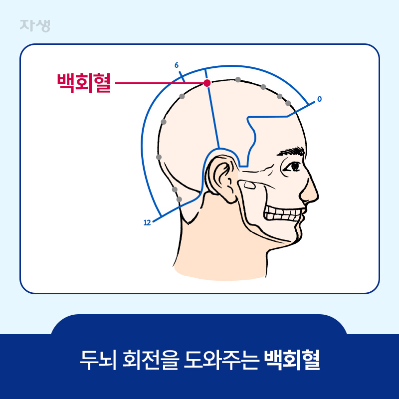 두뇌 회전을 도와주는 백회혈 위치 표시한 이미지