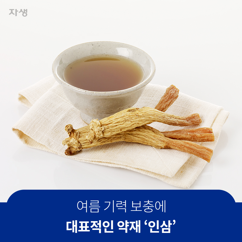 여름 기력 보충에 대표적인 약재 인삼  | 자생한방병원·자생의료재단