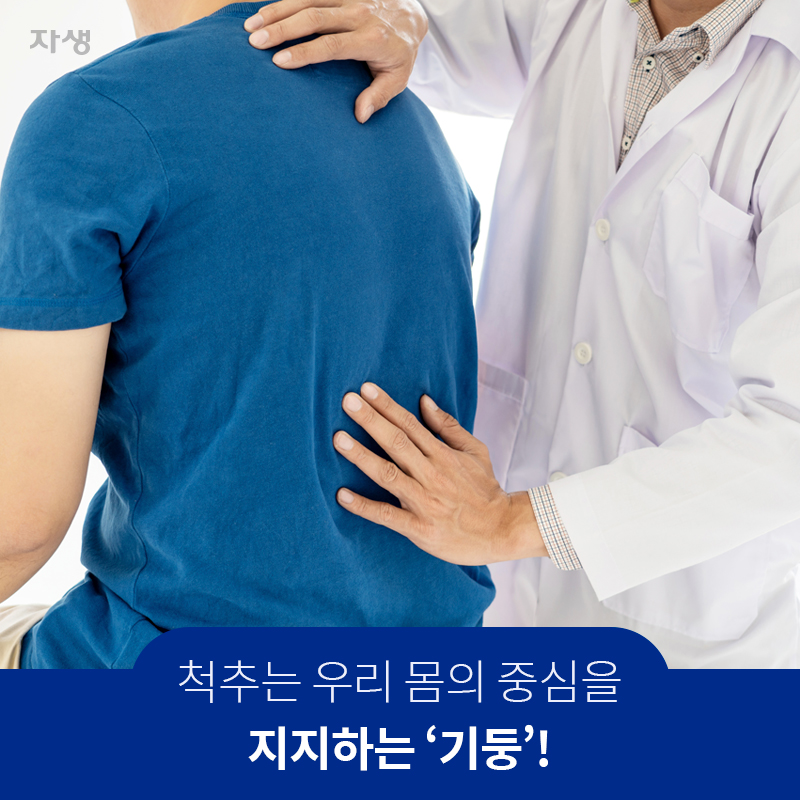 척추는 우리 몸의 중심을 지지하는 '기둥'!    | 자생한방병원·자생의료재단