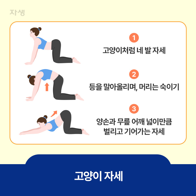 척추 스트레칭에 좋은 고양이 자세를 하고 있는 모습