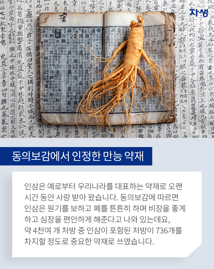 알기쉬운연구이야기  | 자생한방병원 자생의료재단