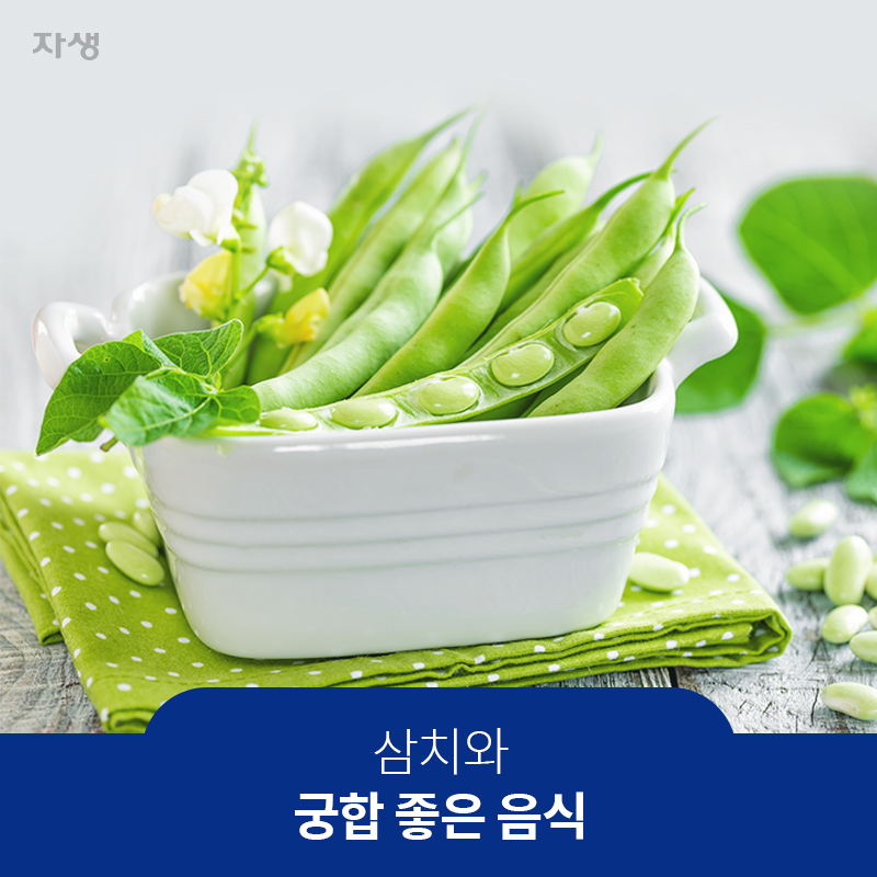 삼치와 궁합 좋은음식