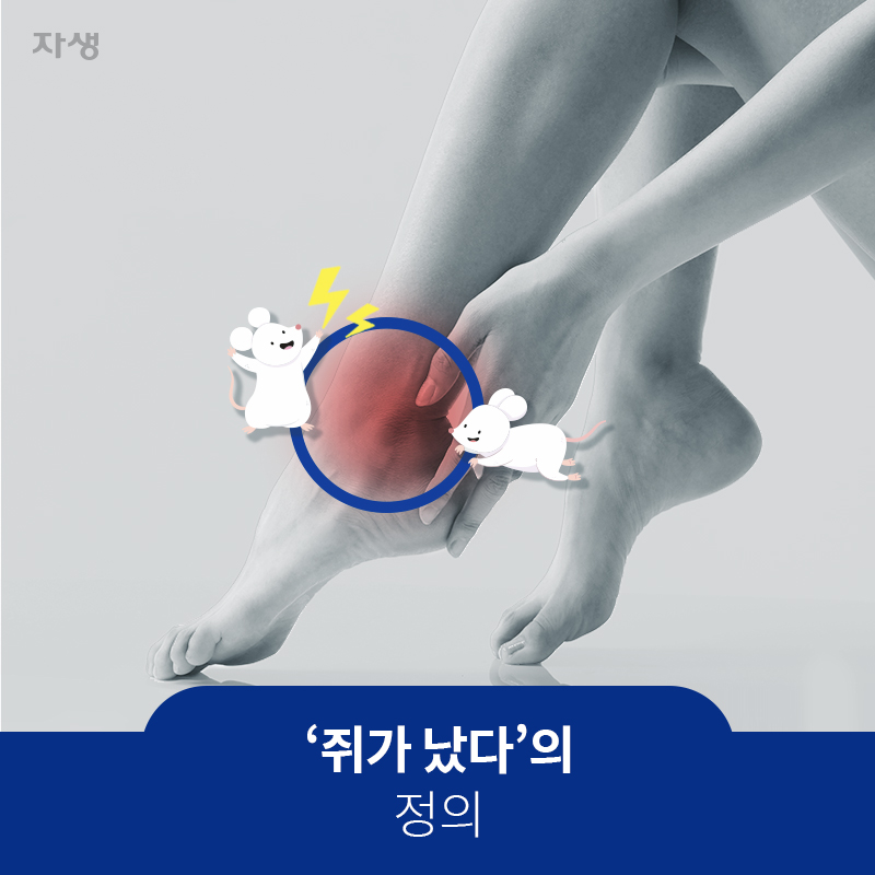 쥐가 났다의 정의