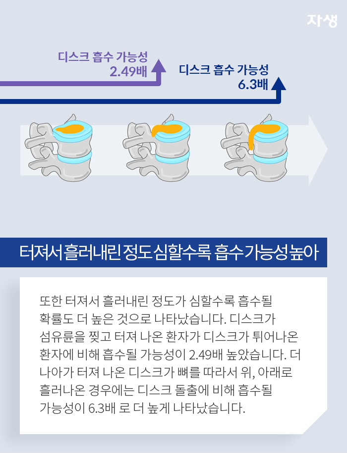 터져서 흘러내린 정도 심할 수록 흡수 가능성 높아 - 또한 터져서 흘러내린 정도가 심할수록 흡수될 확률도 더 높은 것으로 나타났습니다. 디스크가 섬유륜을 찢고 터져 나온 환자가 디스크가 튀어나온 환자에 비해 흡수될 가능성이 2.49배 높았습니다. 더 나아가 터져 나온 디스크가 뼈를 따라서 위, 아래로 흘러나온 경우에는 디스크 돌출에 비해 흡수될 가능성이 6.3배 로 더 높게 나타났습니다.