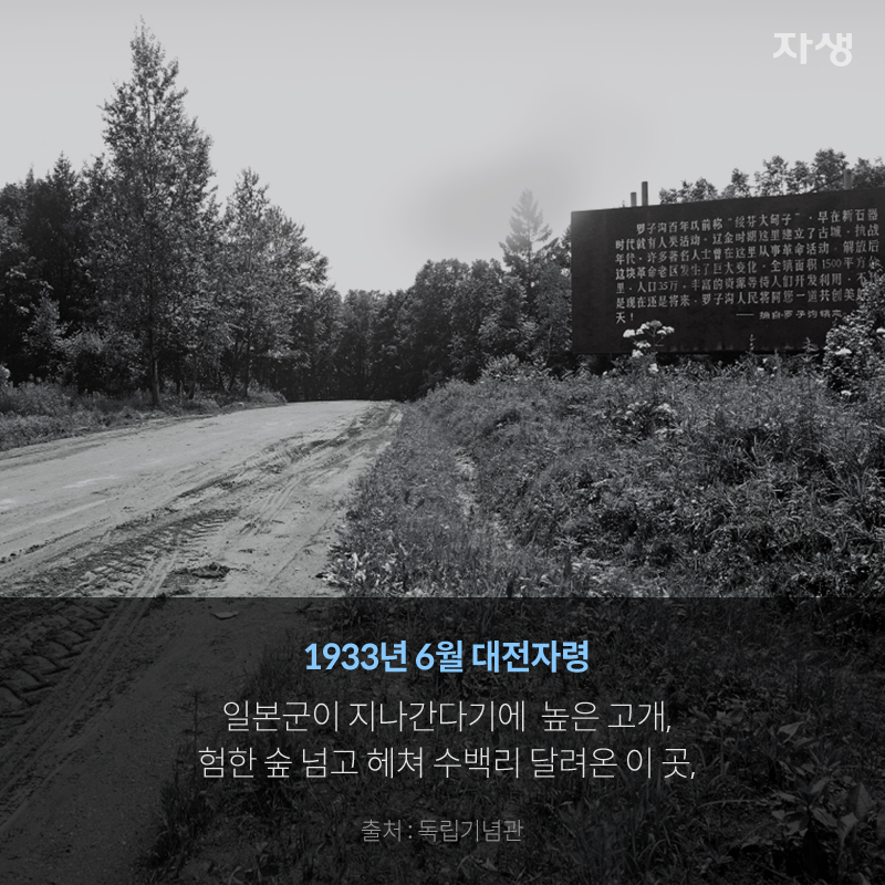 1933년 6월 대전자령 일본군이 지난다기에 높은 고개, 험한 숲 넘고 헤쳐 수백리 달려온 이 곳, 대전자령 사진 출처 : 독립기념관 | 자생한방병원·자생의료재단