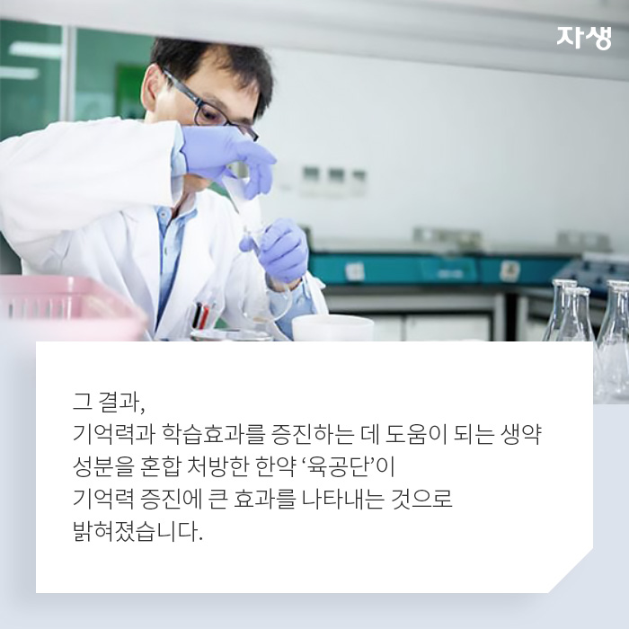 기억력 증진에 큰 효과를 나타내는 육공단 - 알기 쉬운 연구 이야기 | 자생의료재단