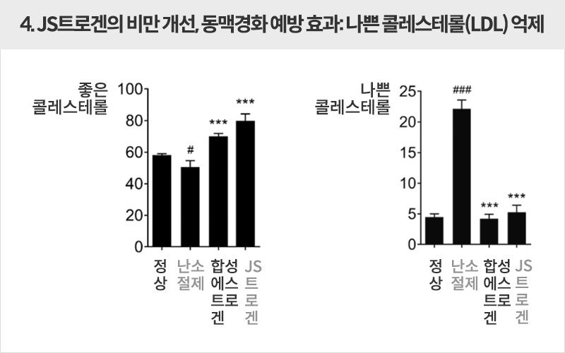 JS트로겐의 비만 개선, 동맥경화 예방 효과: 나쁜 콜레스테롤(LDL) 억제  | 자생한방병원·자생의료재단