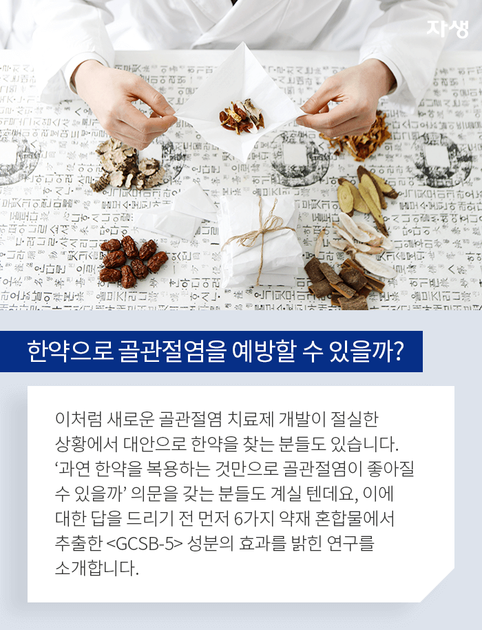 한약으로 골관절염을 예방할 수 있을까? - 이처럼 새로운 골관절염 치료제 개발이 절실한 상황에서 대안으로 한약을 찾는 분들도 있습니다. 과연 한약을 복용하는 것만으로 골관절염이 좋아질 수 있을까 의문을 갖는 분들도 계실 텐데요, 이에 대한 답을 드리기 전 6가지 약재 혼합물에서 추출한 <GCSB-5>성분의 효과를 밝힌 연구를 소개합니다.