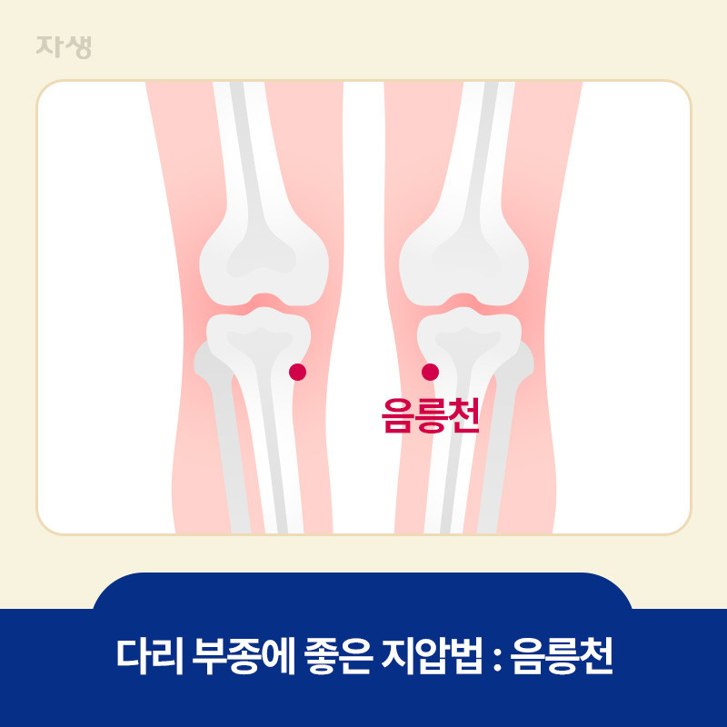 다리 부종에 좋은 지압 혈자리 음릉천 위치 표시
