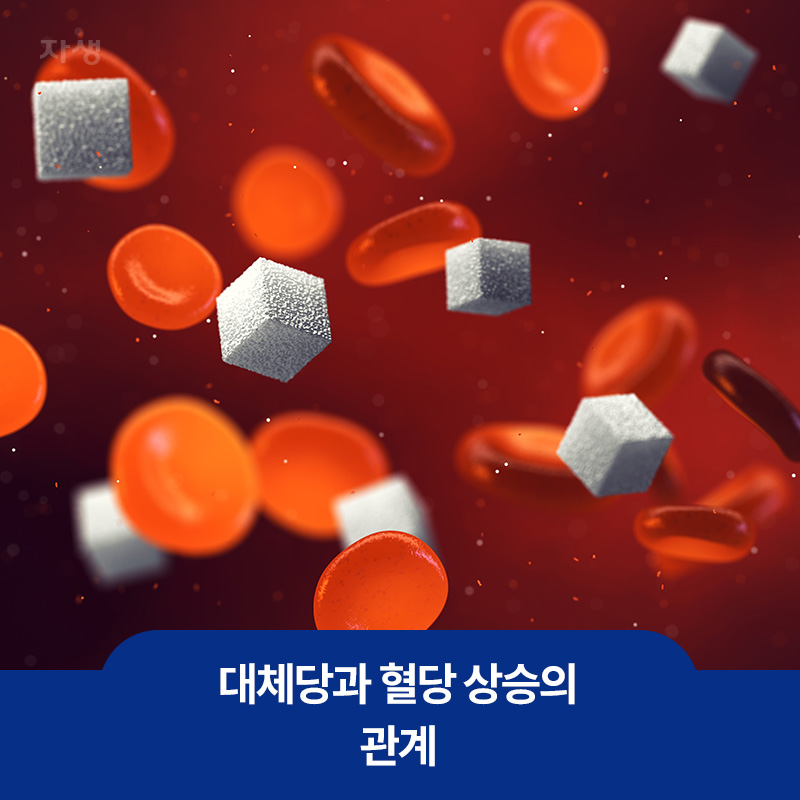 대체당과 혈당 상승의 관계를 설명하기 위한 혈액과 설탕 이미지