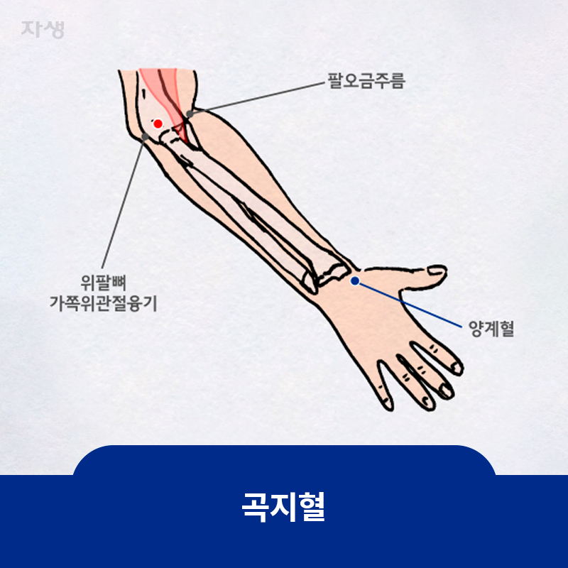 타이틀 이미지 : 곡지혈