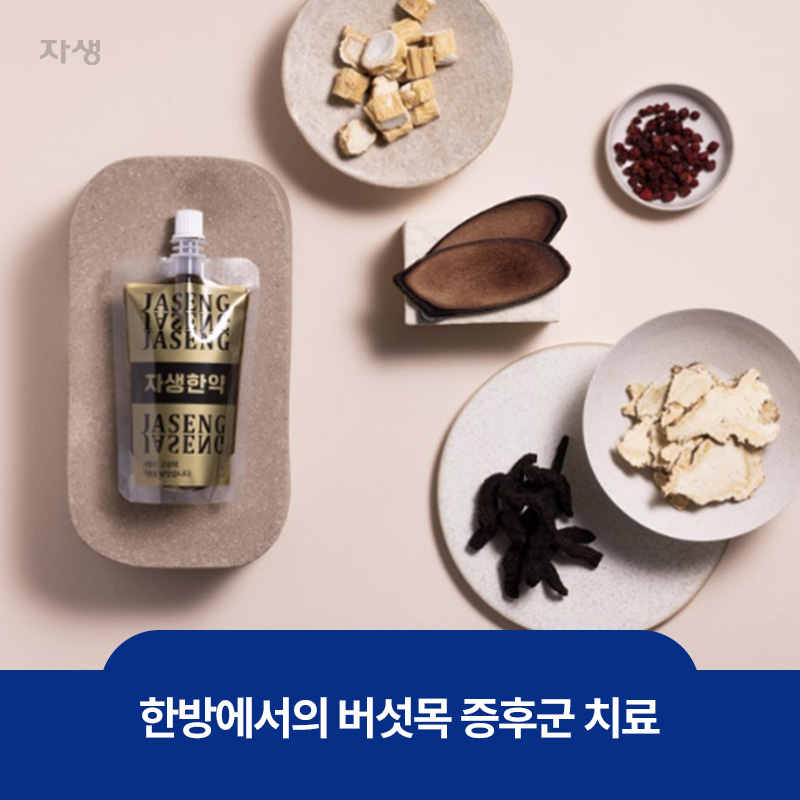 한방에서 버섯목 증후군을 치료하는 한약 이미지