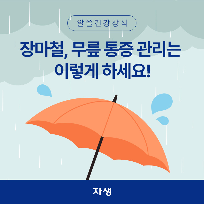 비 내리는 장마철 우산 이미지