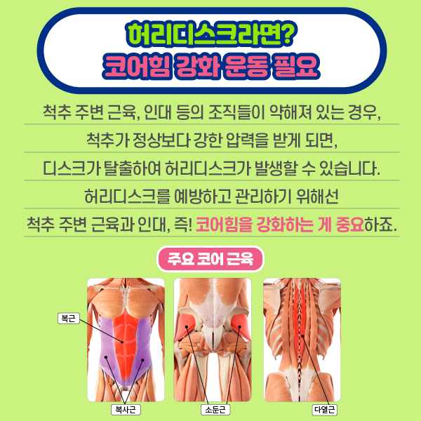 타이틀 이미지 : 허리디스크라면?코어힘 강화운동필요 척추주변근육,인대등의 조직들이 약해져 있는 경우, 철추가 정상보다 강한 압력을 받게 되면, 디스크가 탈출하여 허리디스크가 발생할 수 있습니다. 허리디스크를 예방하고 관리하기 위해선 척추 주변 근육과 인대, 즉 코어힘을 강화하는게 중요 하죠 | 자생한방병원·자생의료재단