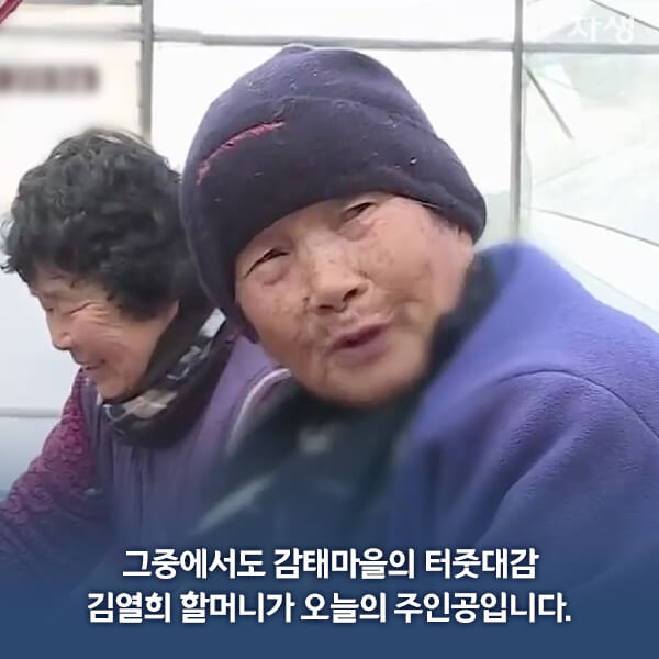 자생의료재단 자생한방병원 별다방! 별걸 다 해주는 고향닥터 - 태안바다의 보물 '감태' 감태마을의 터줏대감 김열희 할머니 이야기06