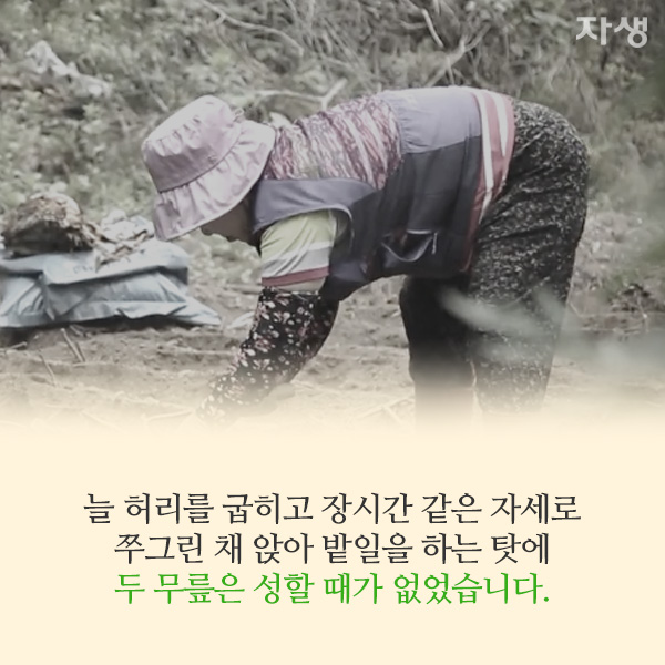 자생한방병원 6시 내고향 떴다! 내고향 닥터 고향스토리 에피소드 5 - 순천 조계산에 사는 부부가 사는 법 05