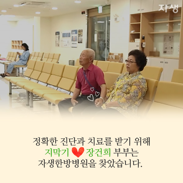 자생한방병원 6시 내고향 떴다! 내고향 닥터 고향스토리 에피소드 5 - 순천 조계산에 사는 부부가 사는 법 08