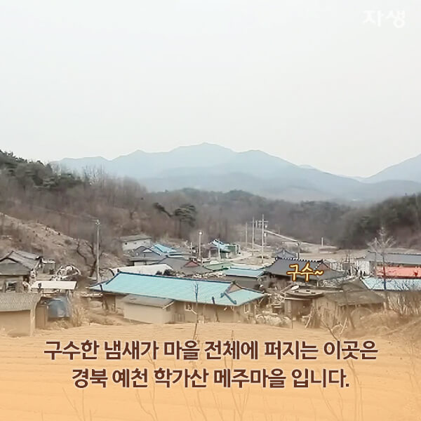 자생의료재단 자생한방병원 별걸 다 해주는 고향닥터 - 학가산 메주마을 이야기02