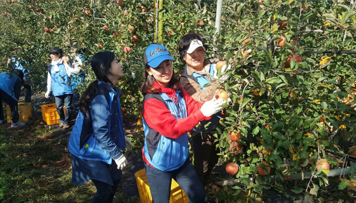 자생의료재단, 경기 포천 사과농가에서 봉사활동