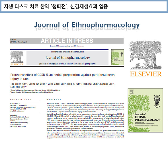 자생 디스크 치료 한약 ‘청파전’, 신경재생효과 입증. 자생한방병원과 성균관대 약대 연구팀이 동물실험과 인간세포실험을 통해 청파전의 신경재생 효과를 입증한 논문 사진.